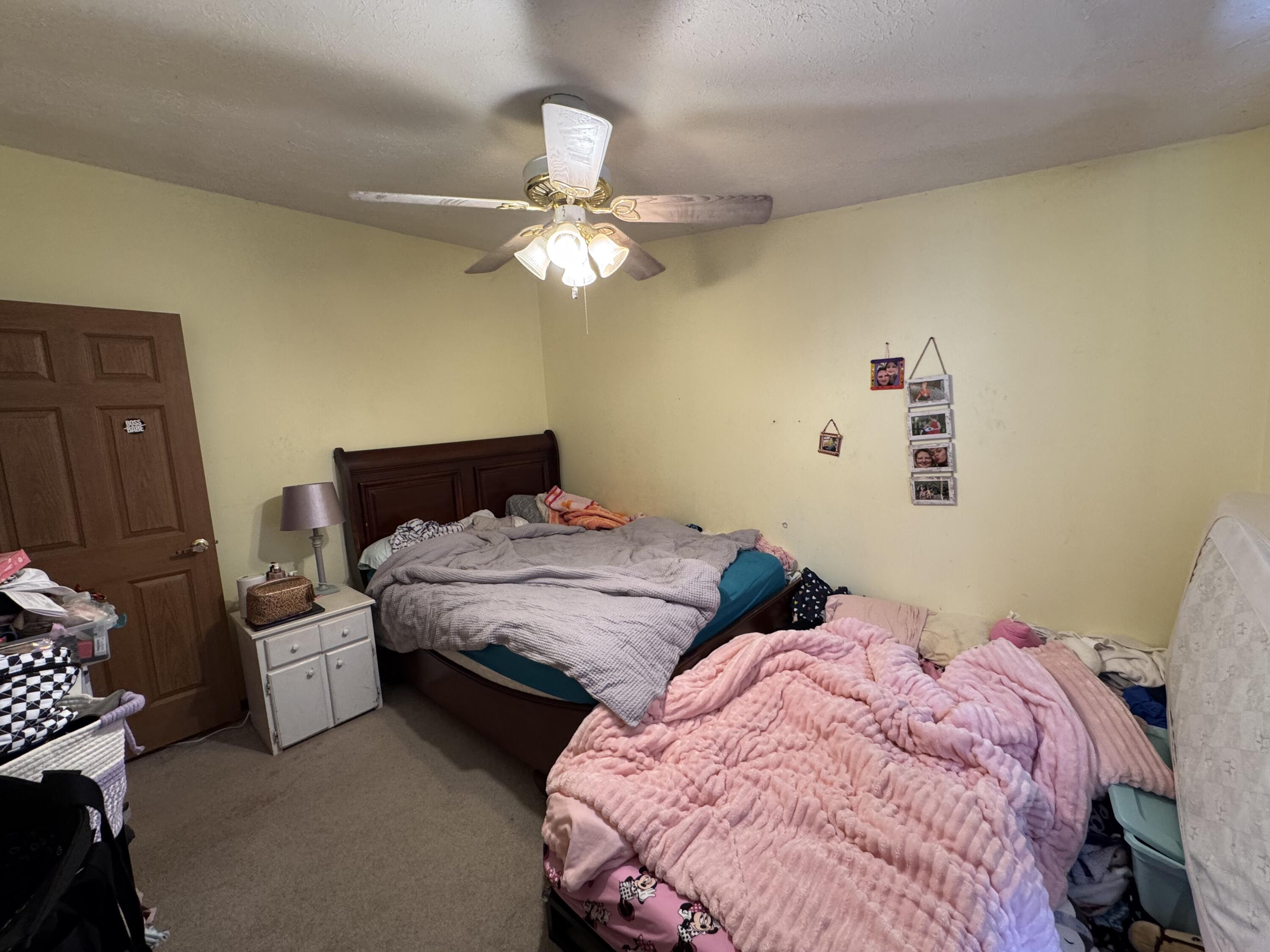 125 Coxon Street Concord, MI 49237 - Photo 15 of 21 IMG_3897