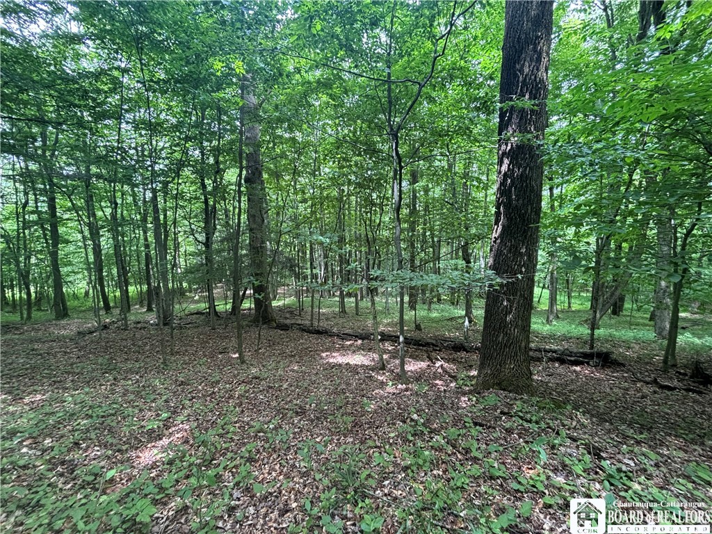 1471 Loomis Road Rexville, NY 14877 - Photo 30 of 50