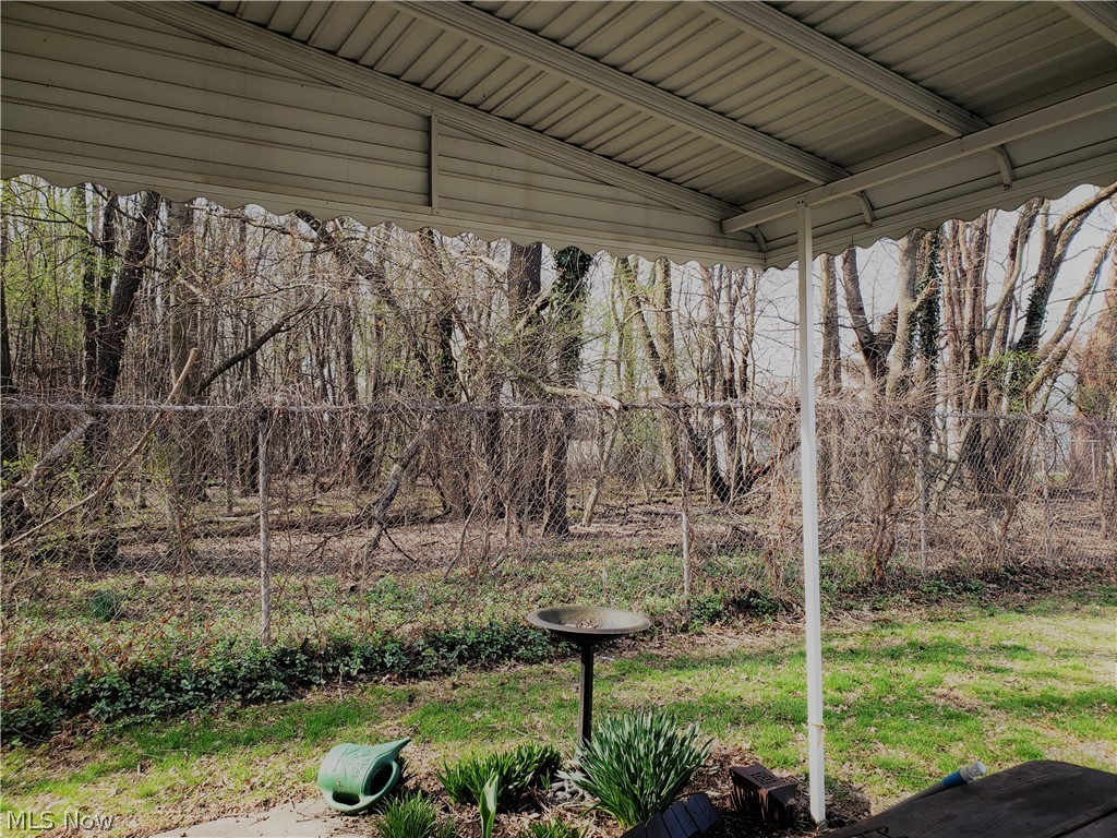850 Meridian Street Akron, OH 44310 - Photo 4 of 29 Rear covered patio with view of neighboring wooded lot.