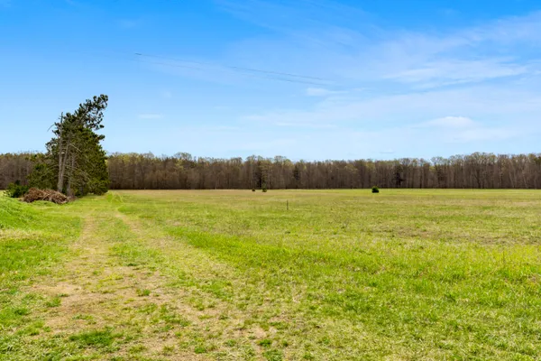 $180,000 | 167 North Pioneer Road, Beulah, MI 49617
