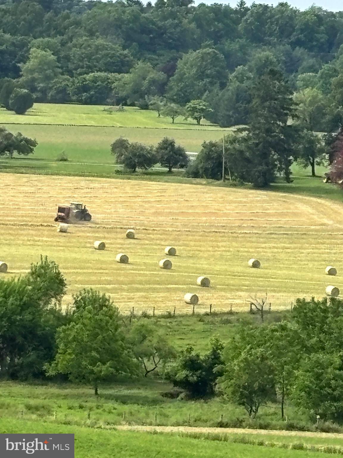 1001 Cannery Road Kennett Square, PA 19348 - Photo 124 of 129 Haymaking in Marlboro Valley