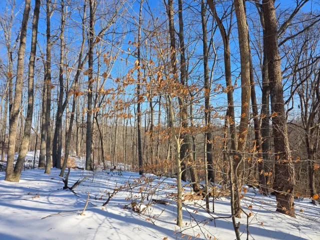 $110,000 | 0 Country Club Road, Appomattox, VA 24522