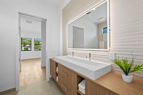 a bathroom with a sink a mirror and a potted plant