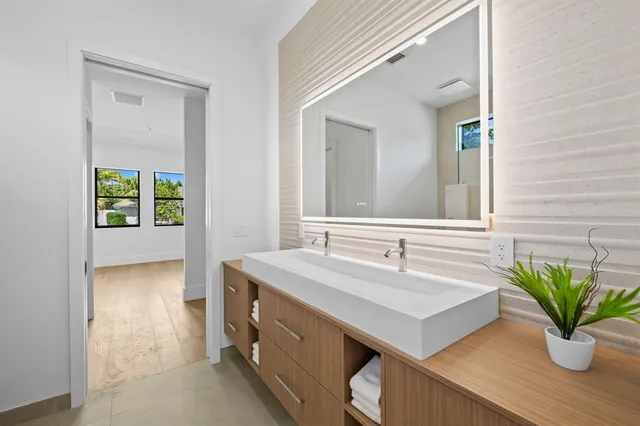 a bathroom with a sink a mirror and a potted plant