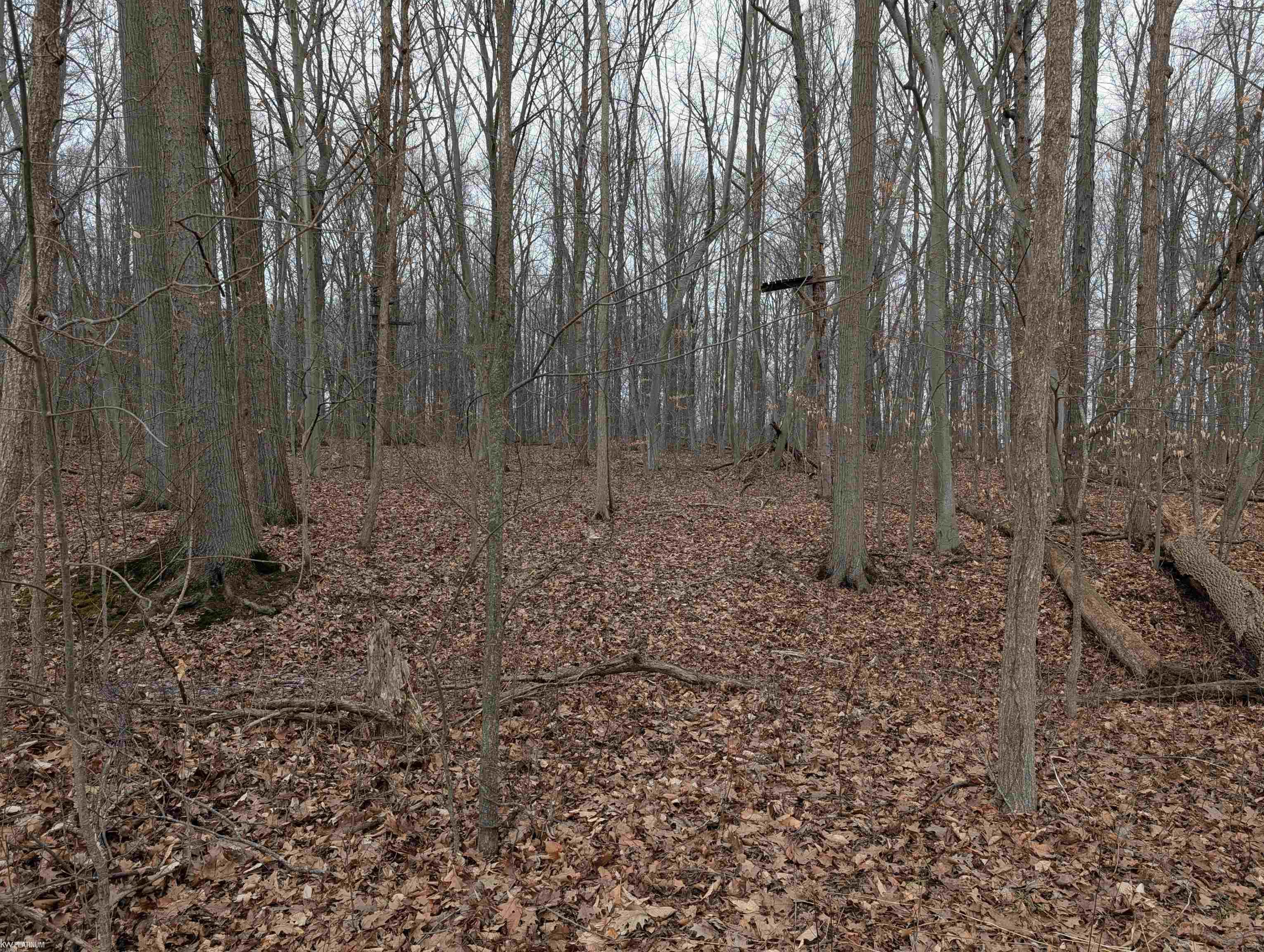 9072 Green Road Goodells, MI 48027 - Photo 56 of 73
