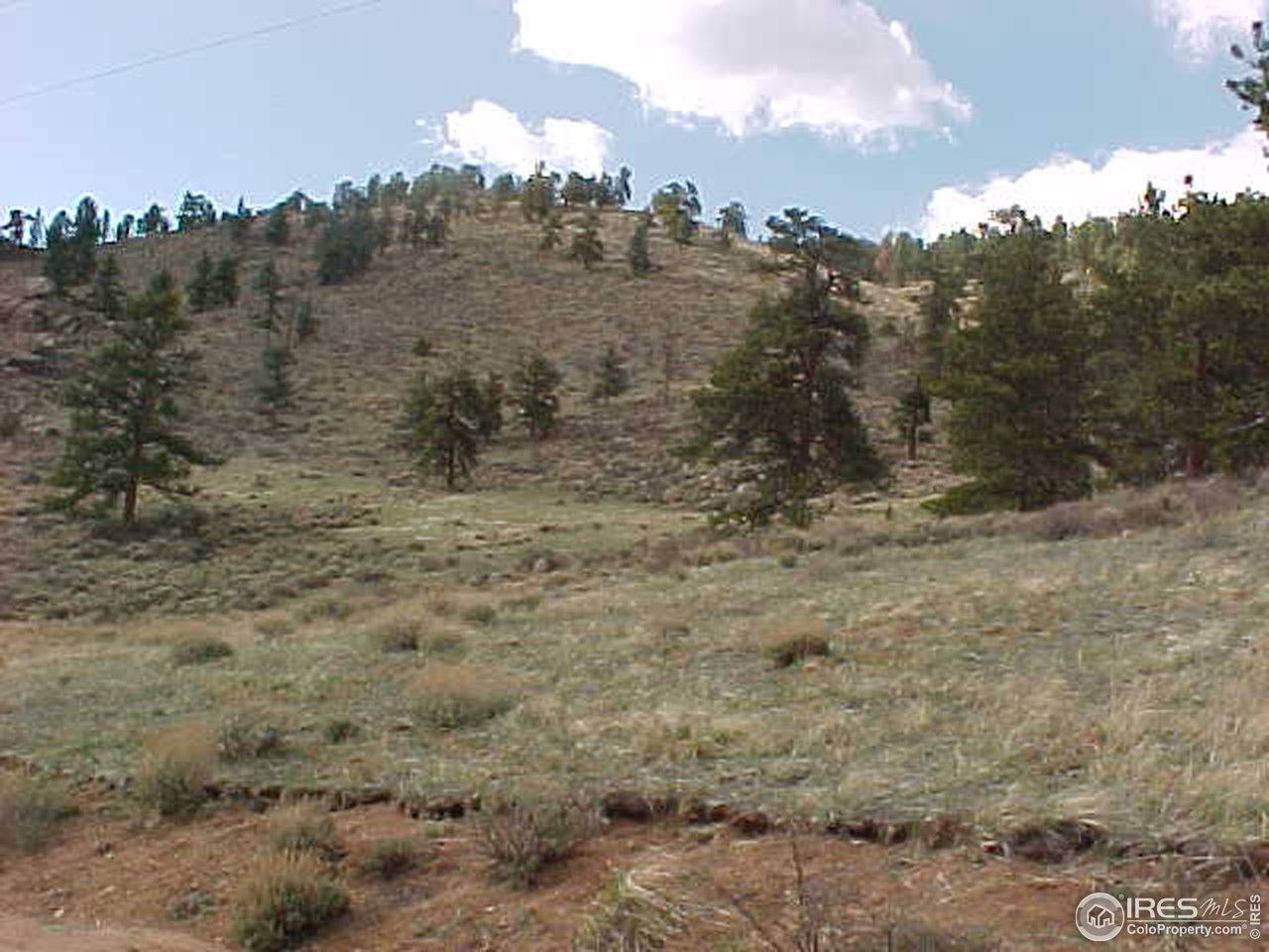 0 Beartrap Road Red Feather Lakes, CO 80545 - Photo 1 of 3 Gallery Image 1