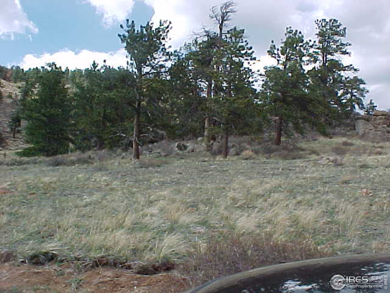 0 Beartrap Road Red Feather Lakes, CO 80545 - Photo 2 of 3 Gallery Image 2