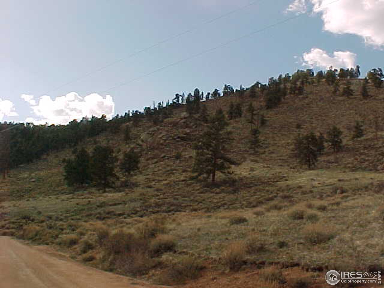 0 Beartrap Road Red Feather Lakes, CO 80545 - Photo 3 of 3 Gallery Image 3
