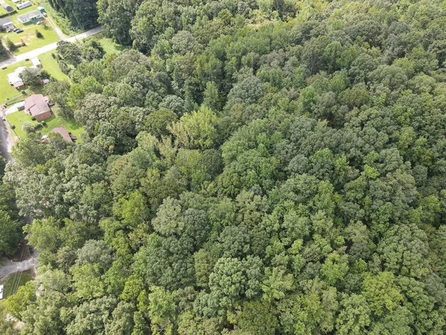 $35,000 | 0 Talley (lot 2) Dr Union, Union, SC 29379