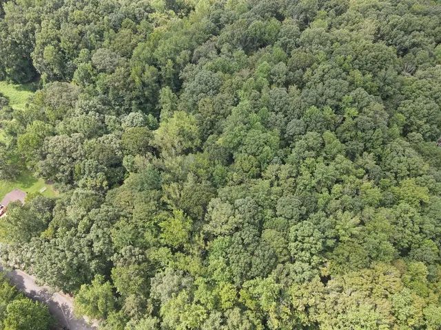 $35,000 | 0 Talley (lot 2) Dr Union, Union, SC 29379