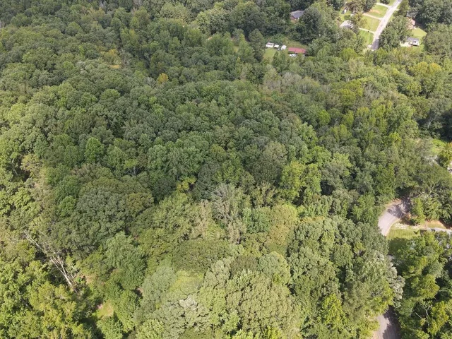 $35,000 | 0 Talley (lot 2) Dr Union, Union, SC 29379