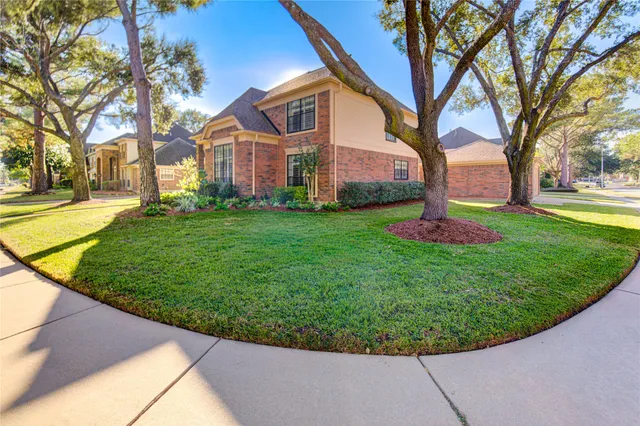 a view of a large trees with a big yard