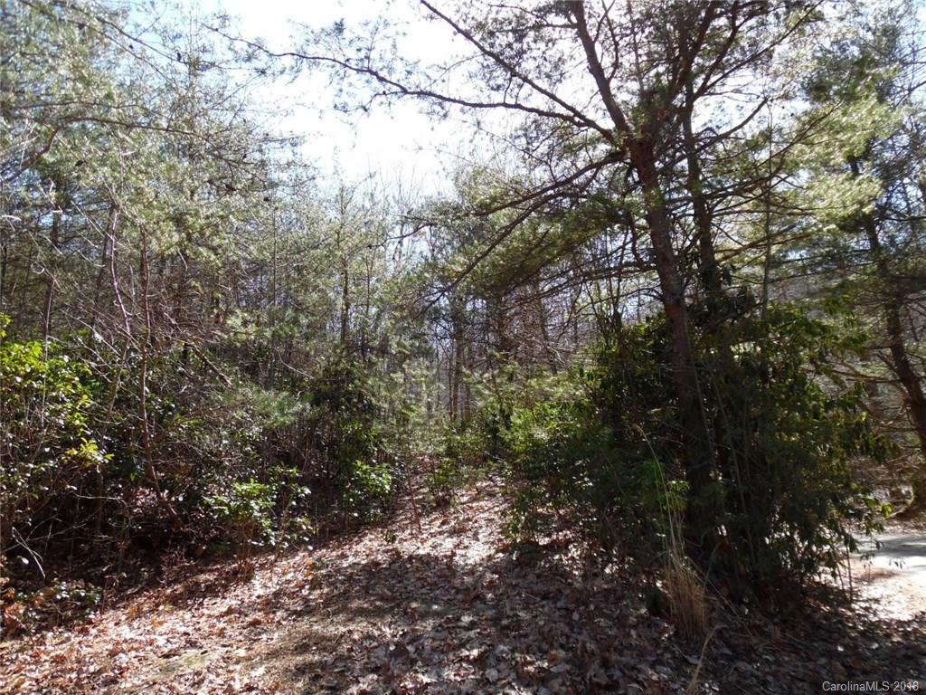 0 Lakeview Drive, Unit 413 Tryon, NC 28782 - Photo 2 of 2