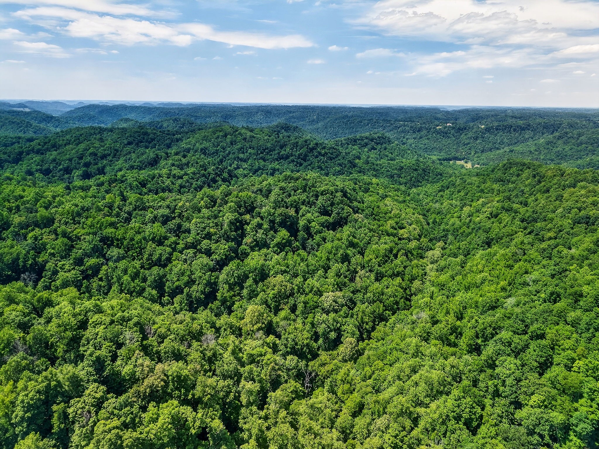 2926 Bryant Ridge Road Baxter, TN 38544 - Photo 47 of 64