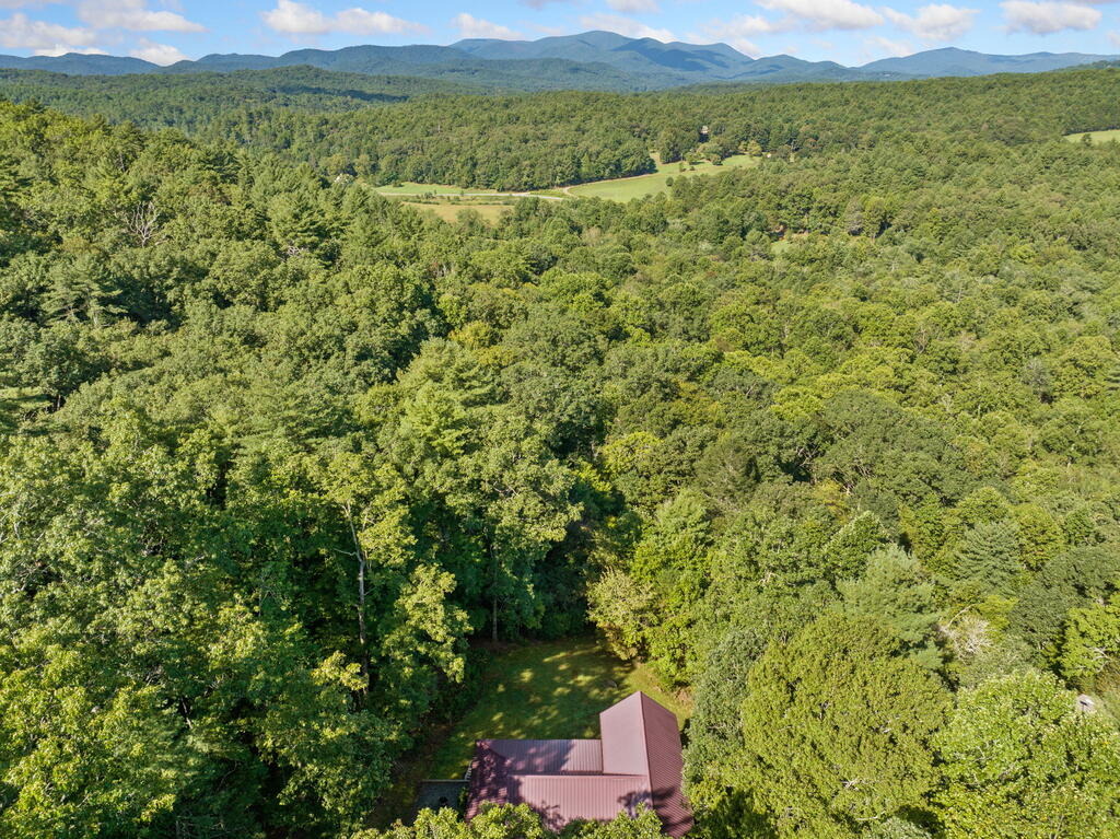 68 Grice Woods Road Blue Ridge, GA 30513 - Photo 49 of 51 Gallery Image 49
