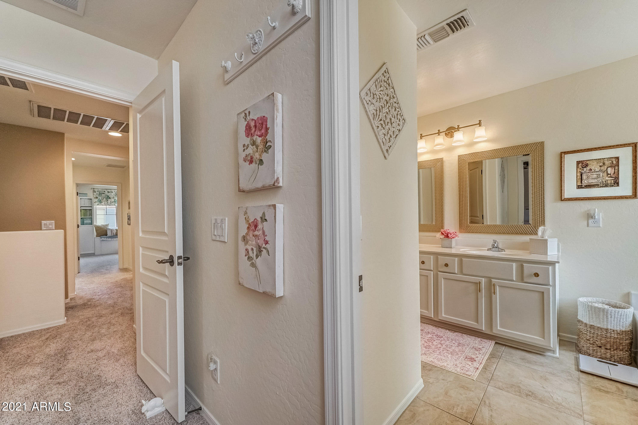 3928 South Rim Road Gilbert, AZ 85297 - Photo 23 of 54 122-MasterBath_Entry