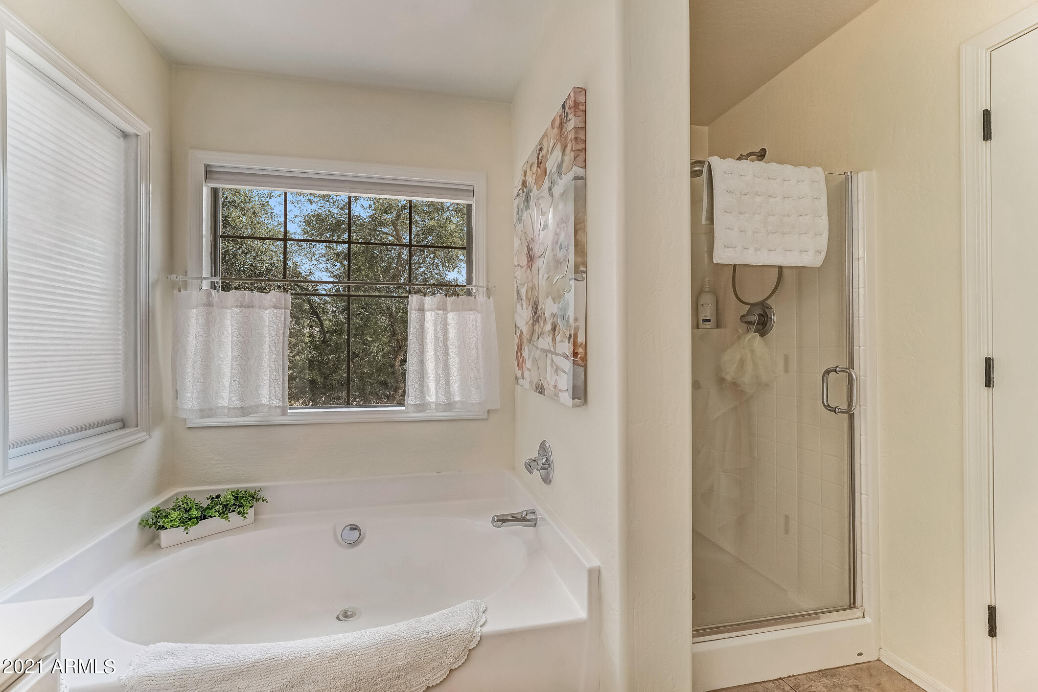 3928 South Rim Road Gilbert, AZ 85297 - Photo 27 of 54 126-MasterBath_3