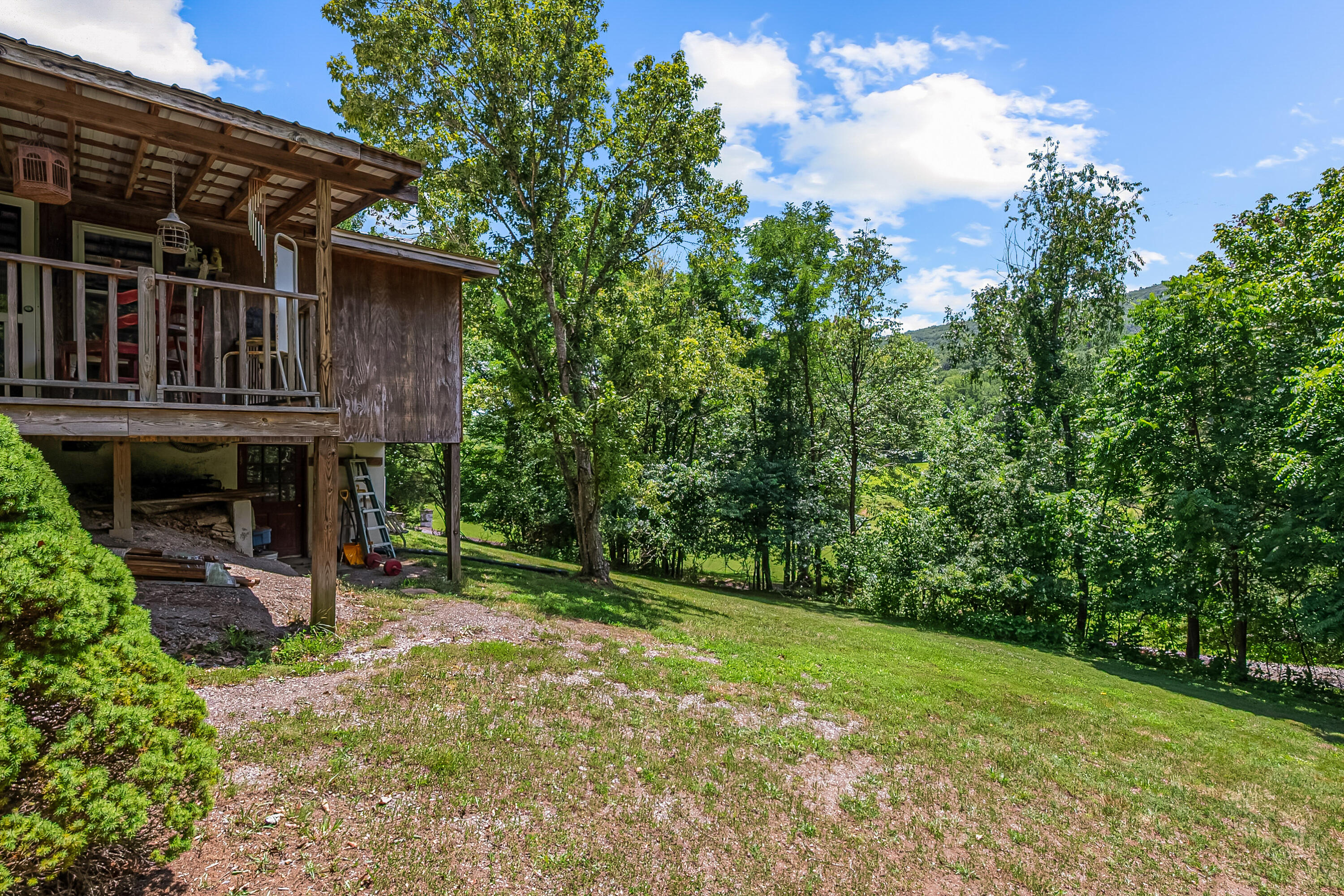 2389 Reesedale Road Elliston, VA 24087 - Photo 51 of 62 a backyard of a house with lots of green space