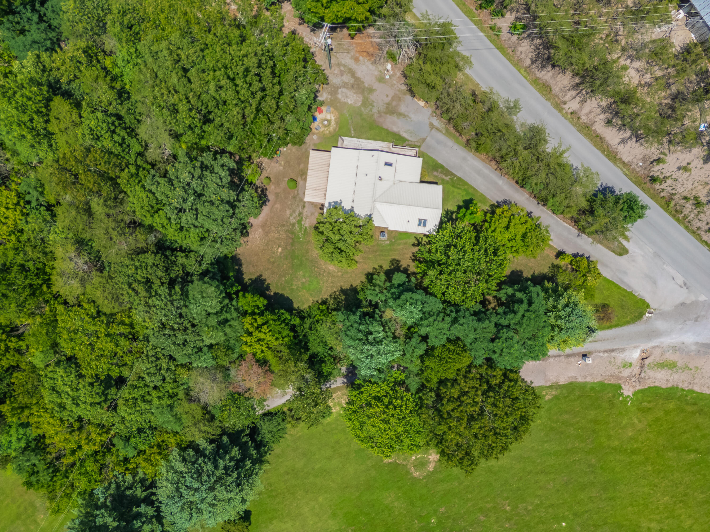 2389 Reesedale Road Elliston, VA 24087 - Photo 58 of 62 a view of a small yard with a tree