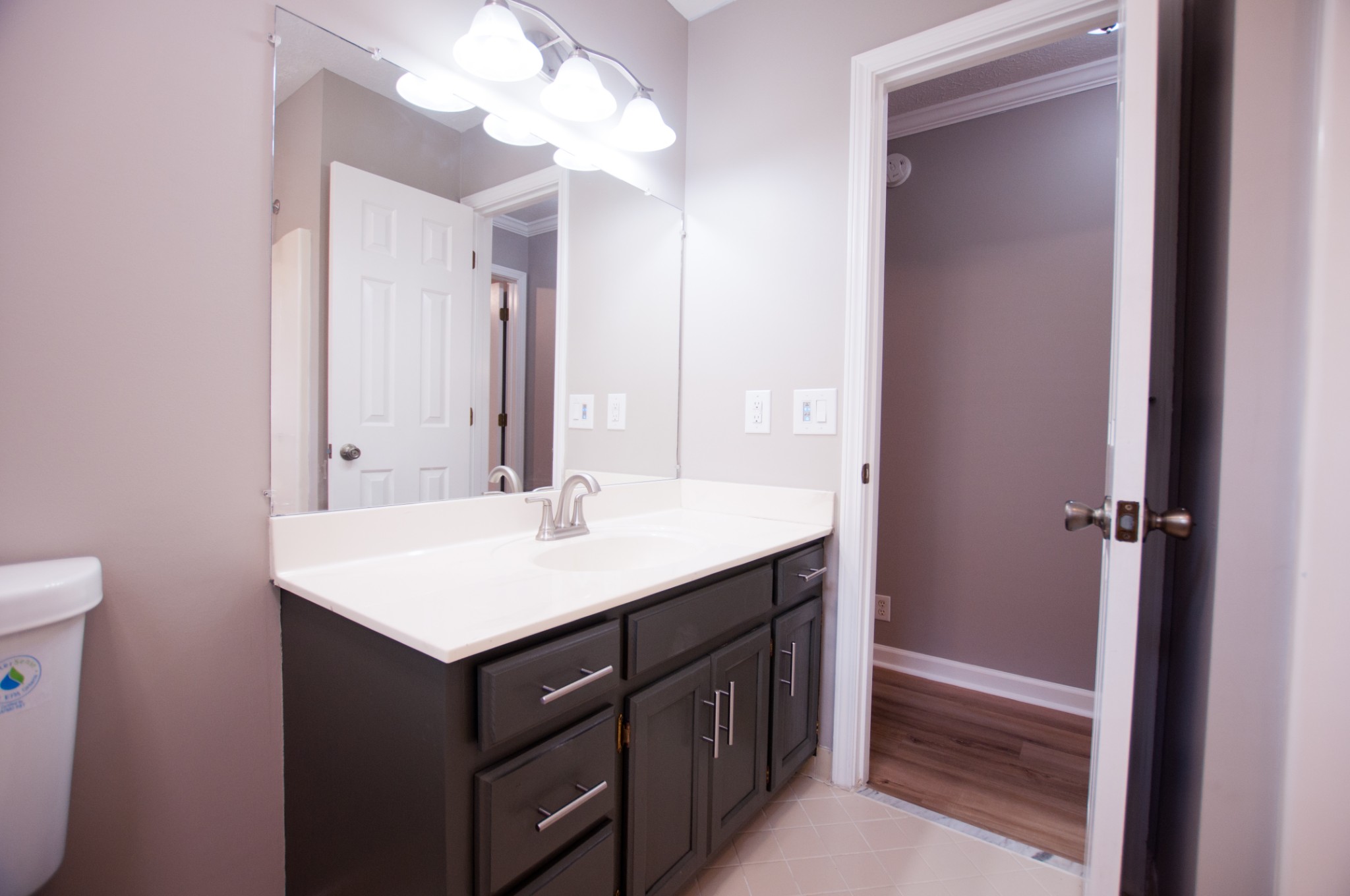 309 Chesterfield Circle Madison, TN 37115 - Photo 14 of 27 a bathroom with a sink a vanity and a mirror