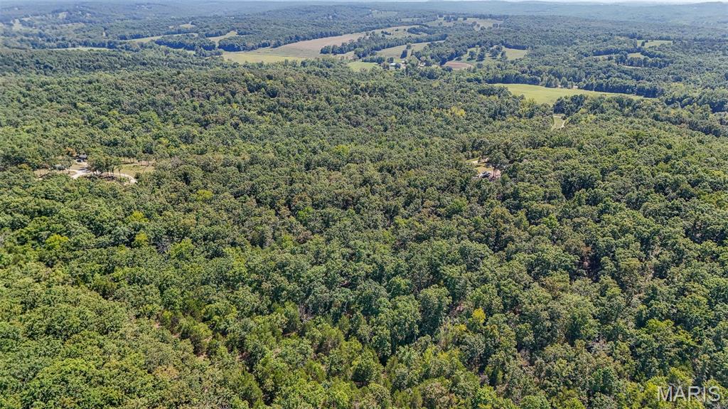 283 Broken Post Road Richland, MO 65556 - Photo 86 of 97