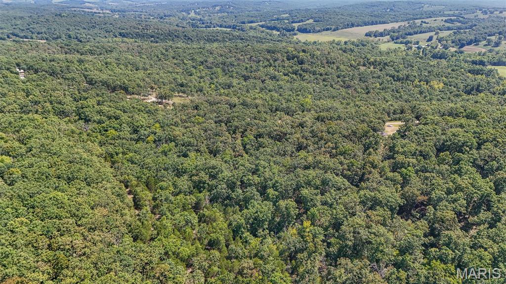 283 Broken Post Road Richland, MO 65556 - Photo 87 of 97