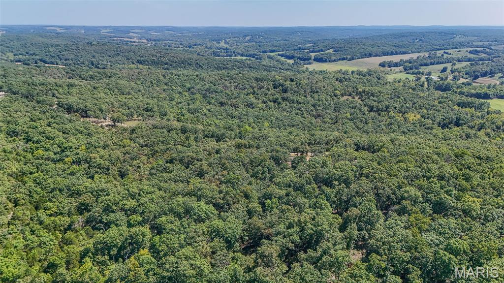 283 Broken Post Road Richland, MO 65556 - Photo 88 of 97