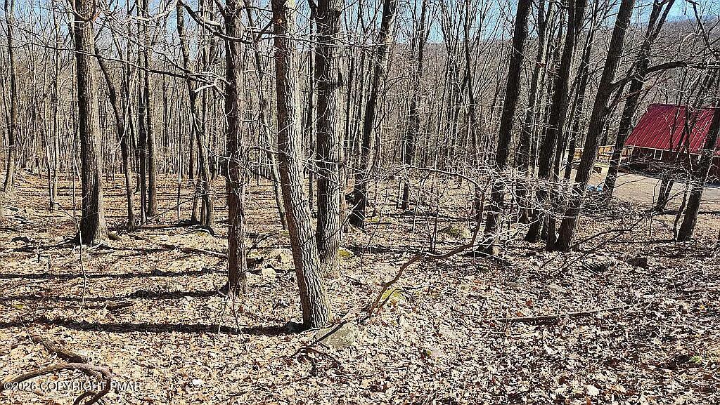 711 Eagle Pass Cresco, PA 18326 - Photo 3 of 4