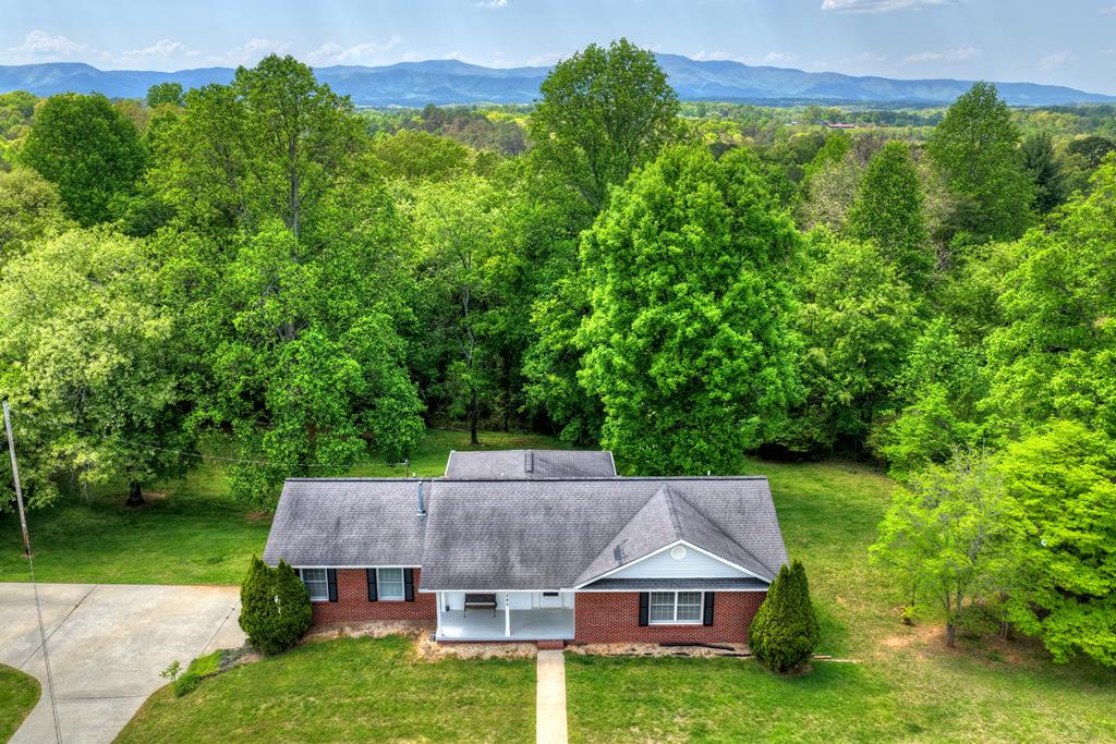 380 La Vista Drive Blue Ridge, GA 30513 - Photo 11 of 48 an aerial view of a house