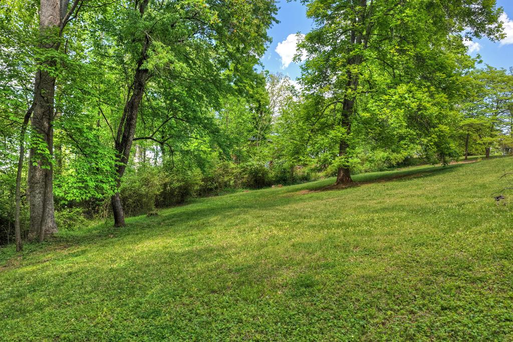 380 La Vista Drive Blue Ridge, GA 30513 - Photo 17 of 48 a view of a field with a tree