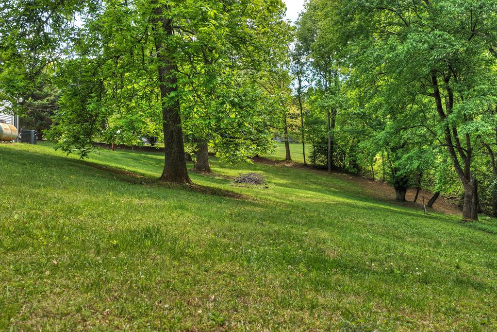 380 La Vista Drive Blue Ridge, GA 30513 - Photo 18 of 48 a view of field with trees in the background