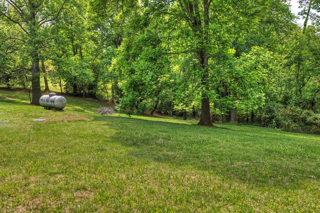 380 La Vista Drive Blue Ridge, GA 30513 - Photo 19 of 48 a view of a trees with a yard