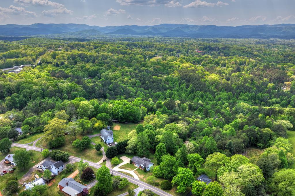 380 La Vista Drive Blue Ridge, GA 30513 - Photo 8 of 48 a view of a lush green forest with houses