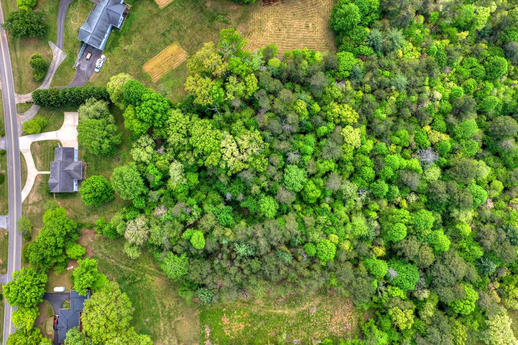 380 La Vista Drive Blue Ridge, GA 30513 - Photo 9 of 48 a backyard of a house with lots of green space