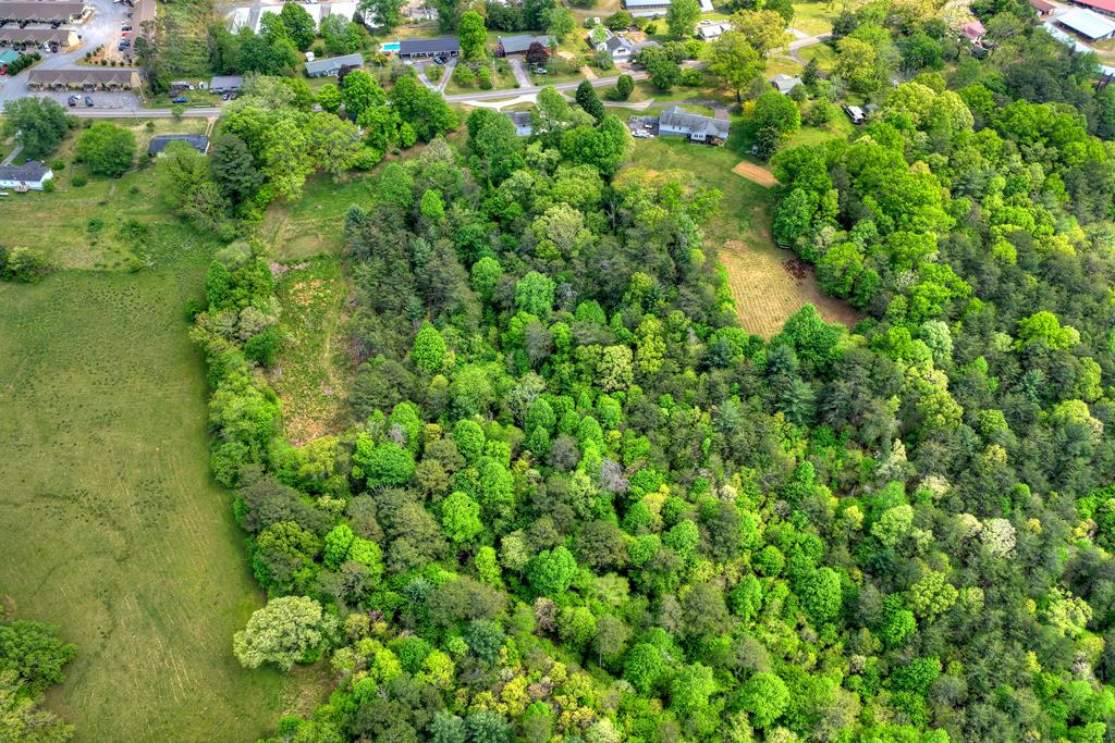 380 La Vista Drive Blue Ridge, GA 30513 - Photo 10 of 48 a view of a lush green forest with lots of trees