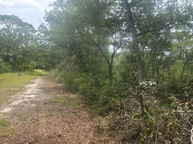 2225 West Wells Road Avon Park, FL 33825 - Photo 1 of 7 5