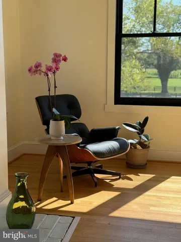 a living room with furniture two window and a fireplace