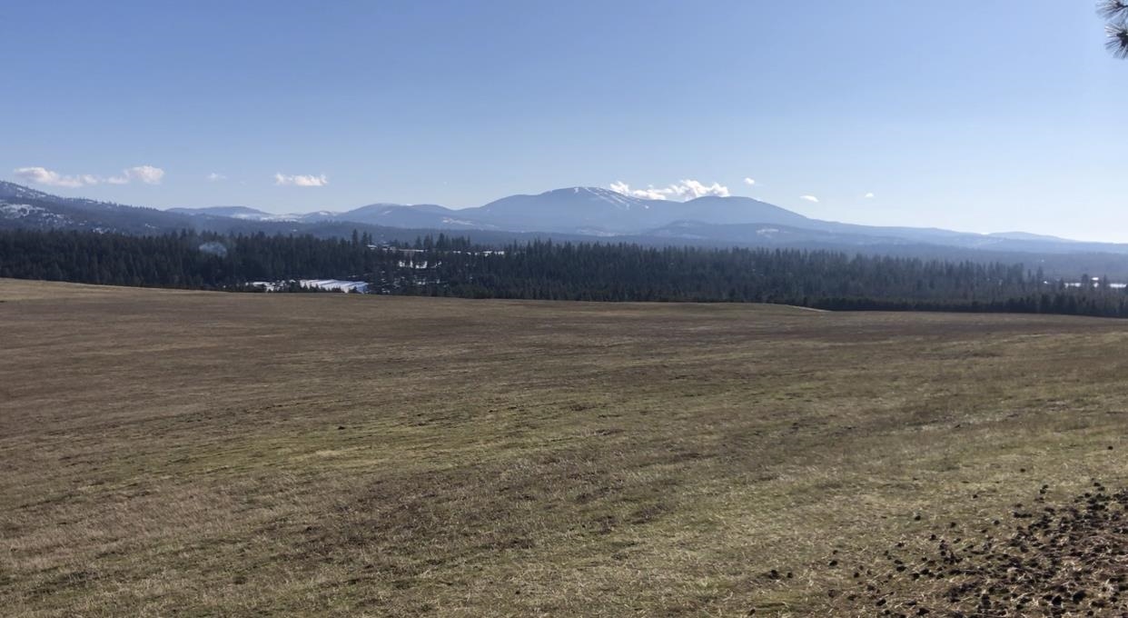 41900 North Darknell Road Elk, WA 99009 - Photo 32 of 33 Gallery Image 32