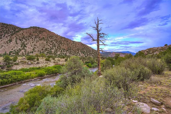 a view of a mountain in the middle of a forest