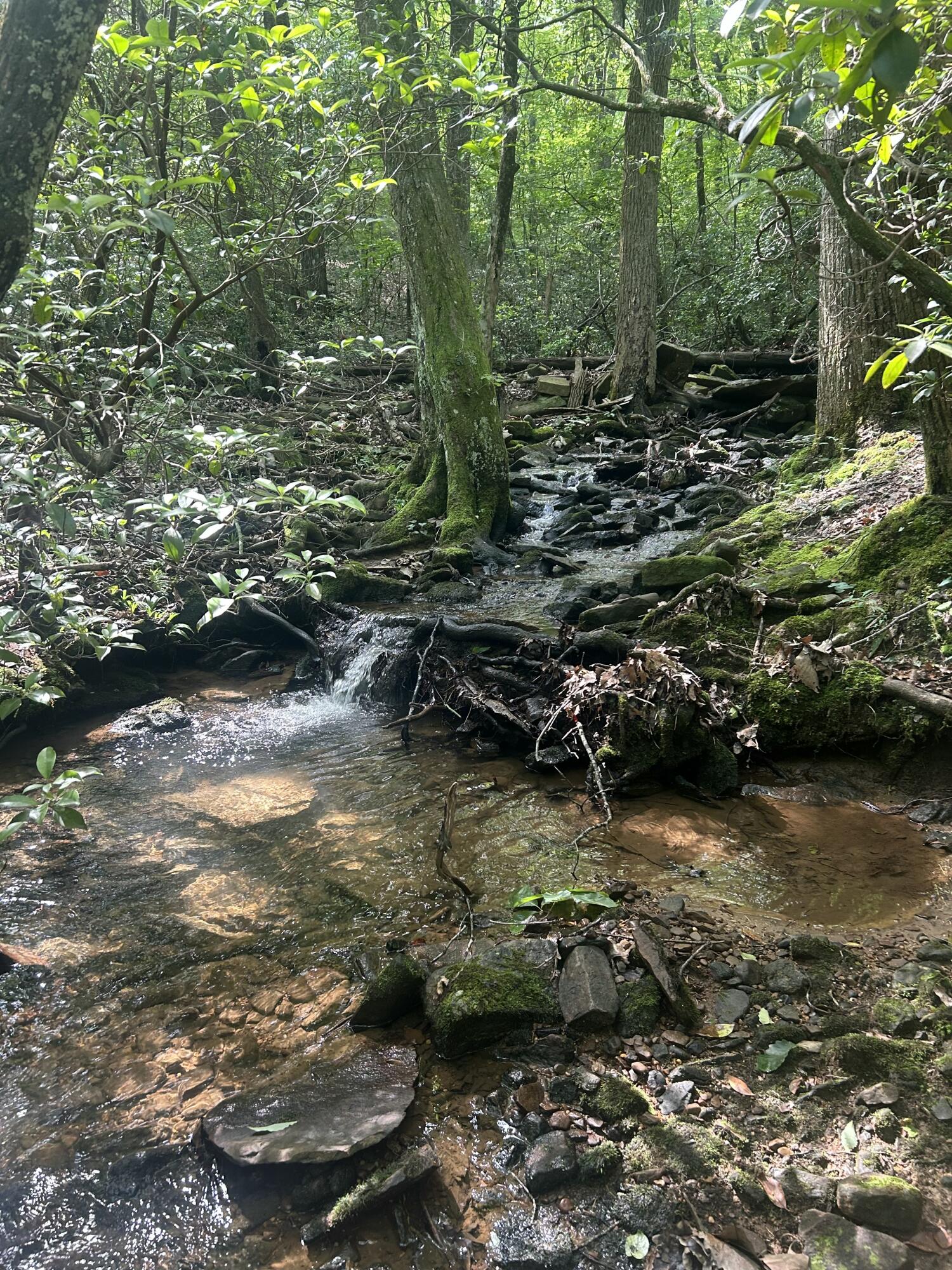 343 Highlands Forest Road Rising Fawn, GA 30738 - Photo 72 of 75 Trails