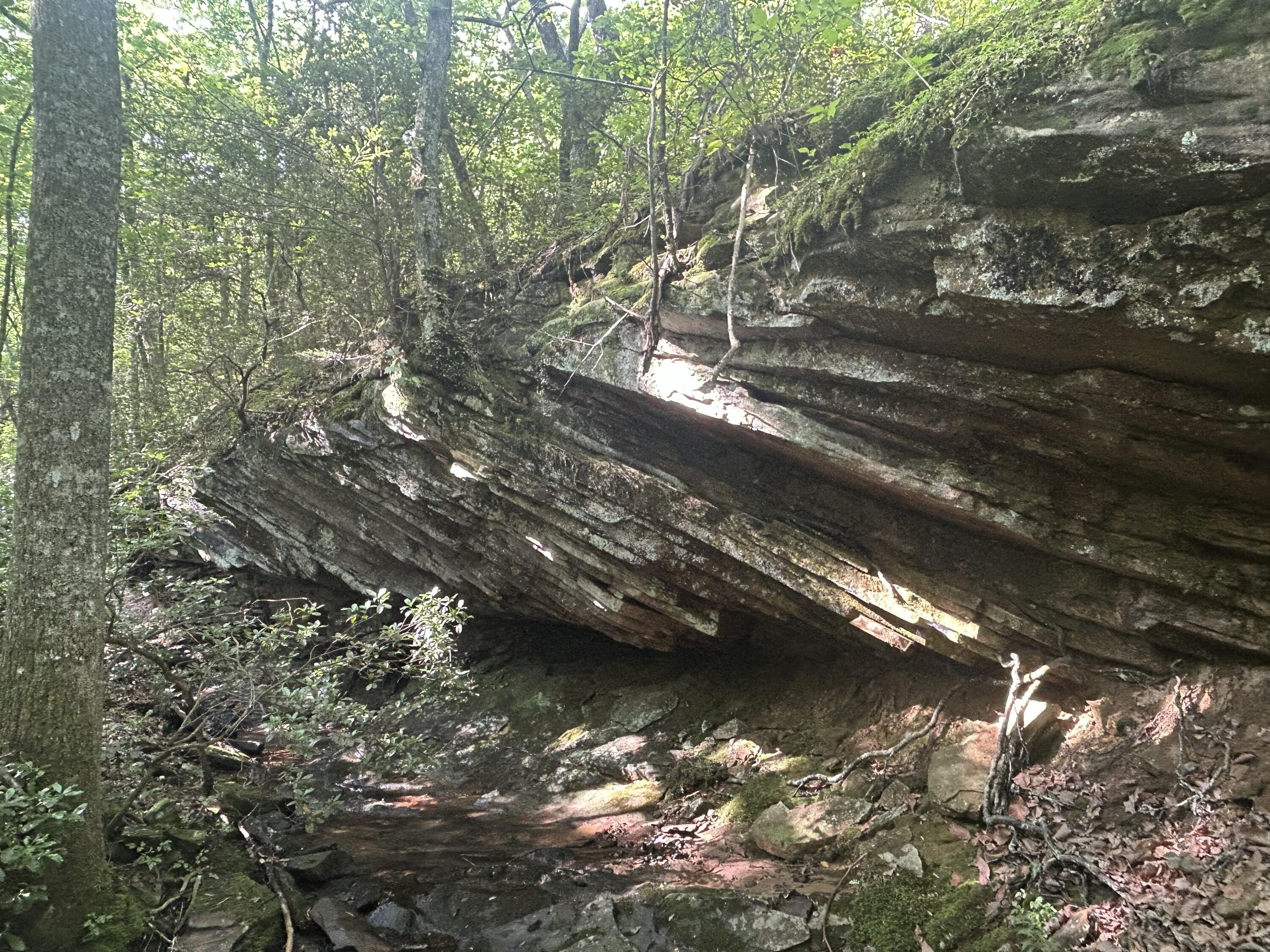 343 Highlands Forest Road Rising Fawn, GA 30738 - Photo 73 of 75 Trails
