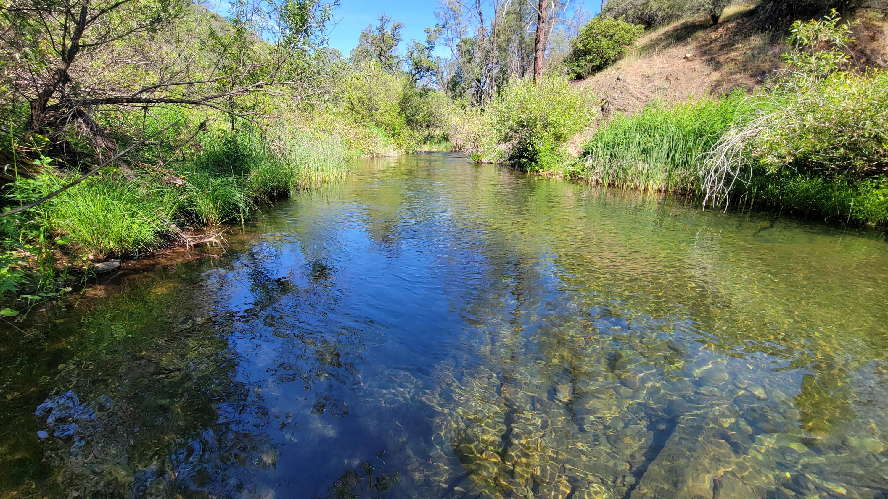 Lot 229 Yolla Bolly Road Igo, CA 96047 - Photo 19 of 66 20260510_095711