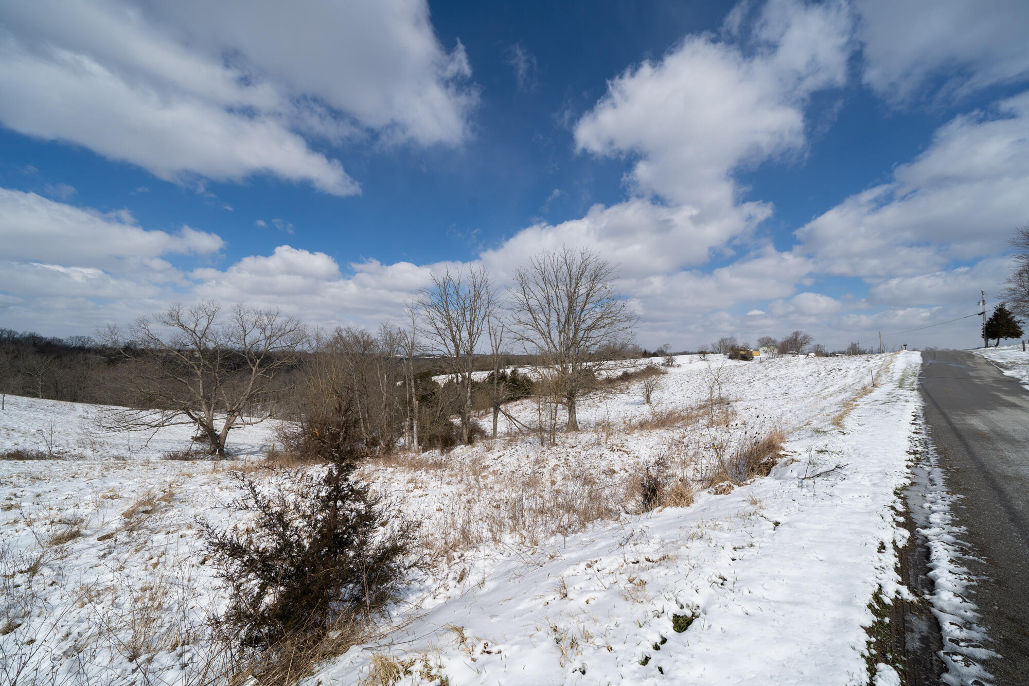 2381 Hogg Ridge Road Williamstown, KY 41097 - Photo 11 of 48 Gallery Image 11