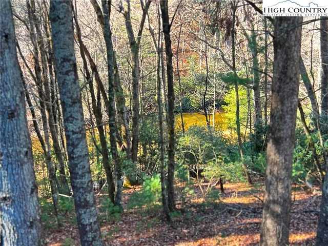 a view of backyard with green space