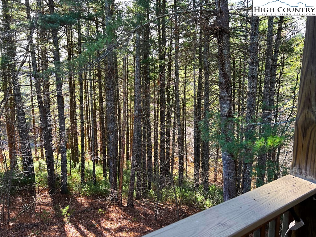 56 Buttons Lane Sparta, NC 28675 - Photo 6 of 40