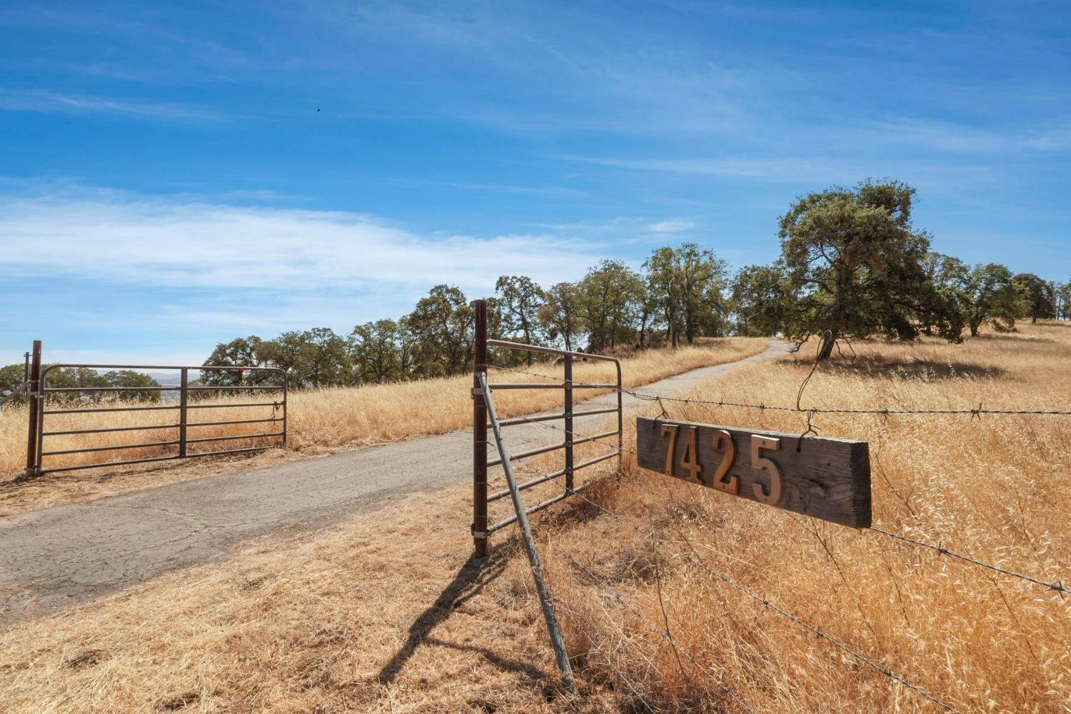 7425 Cincha Street Angels Camp, CA 95222 - Photo 1 of 29 a view of a terrace