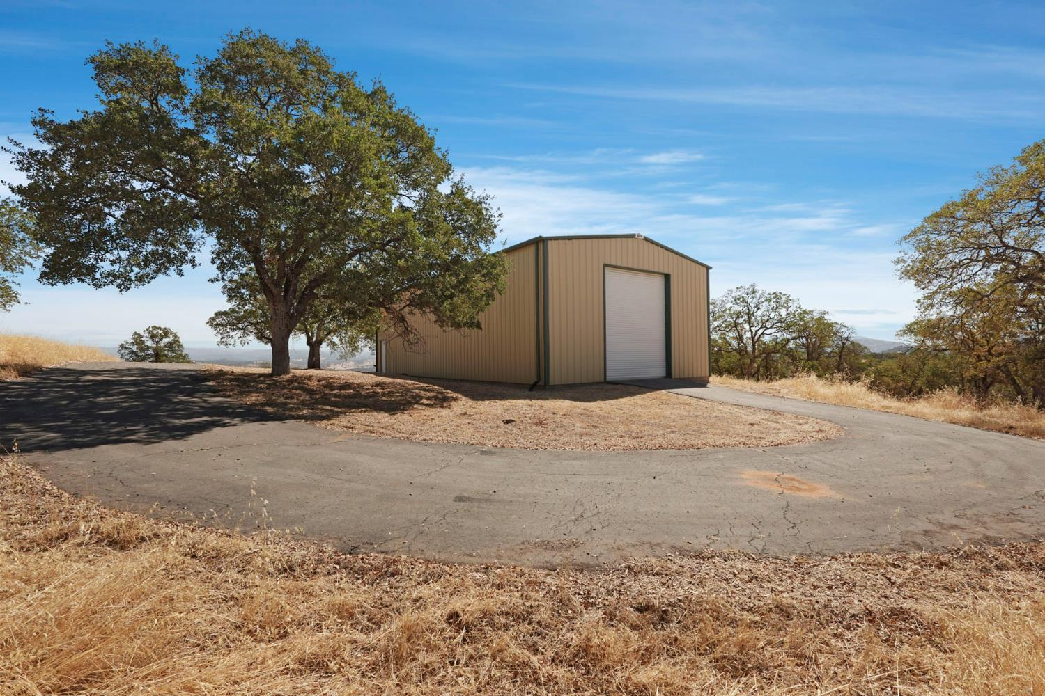 7425 Cincha Street Angels Camp, CA 95222 - Photo 11 of 29 a view of a yard with a large tree