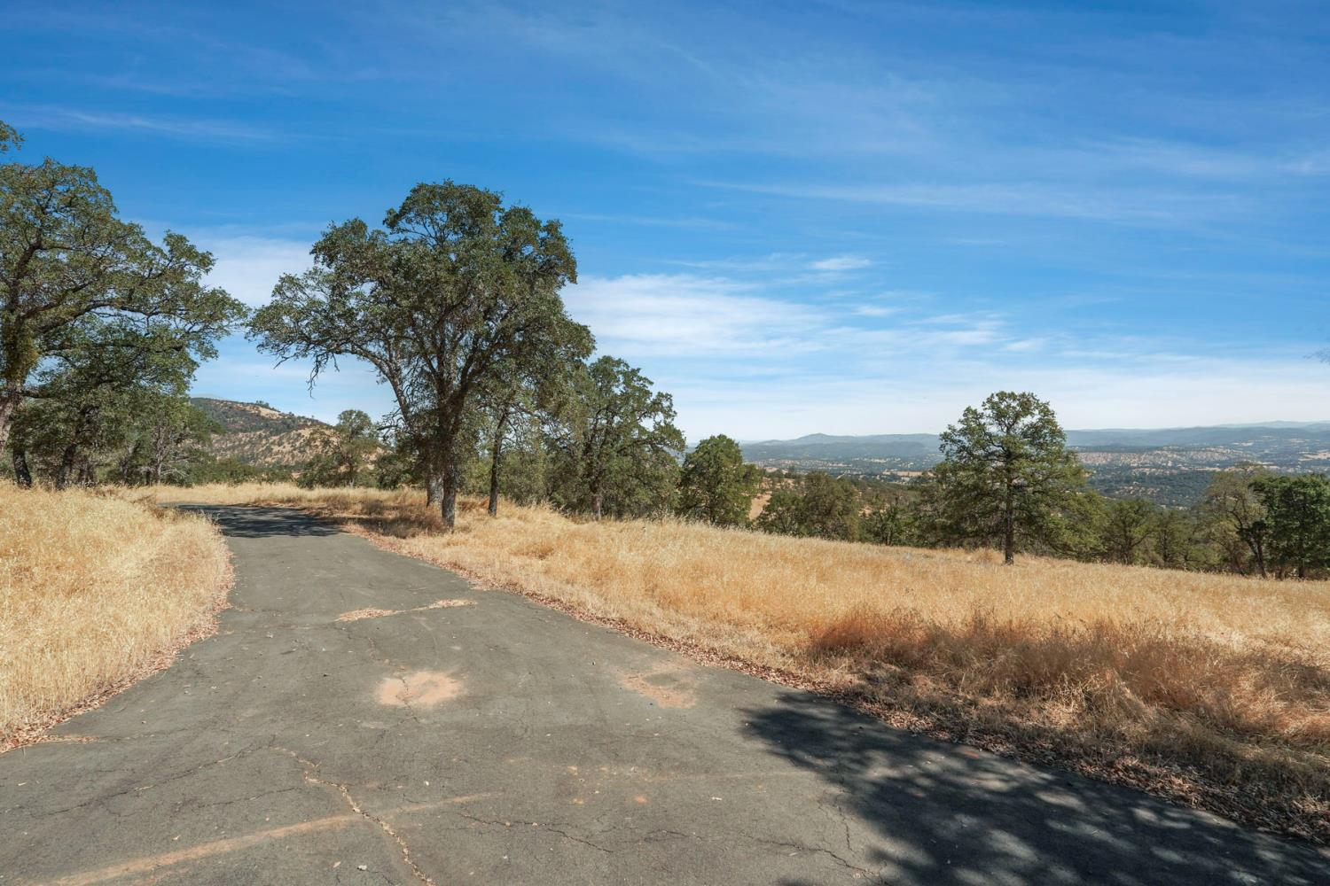 7425 Cincha Street Angels Camp, CA 95222 - Photo 20 of 29 a view of a yard with a large tree