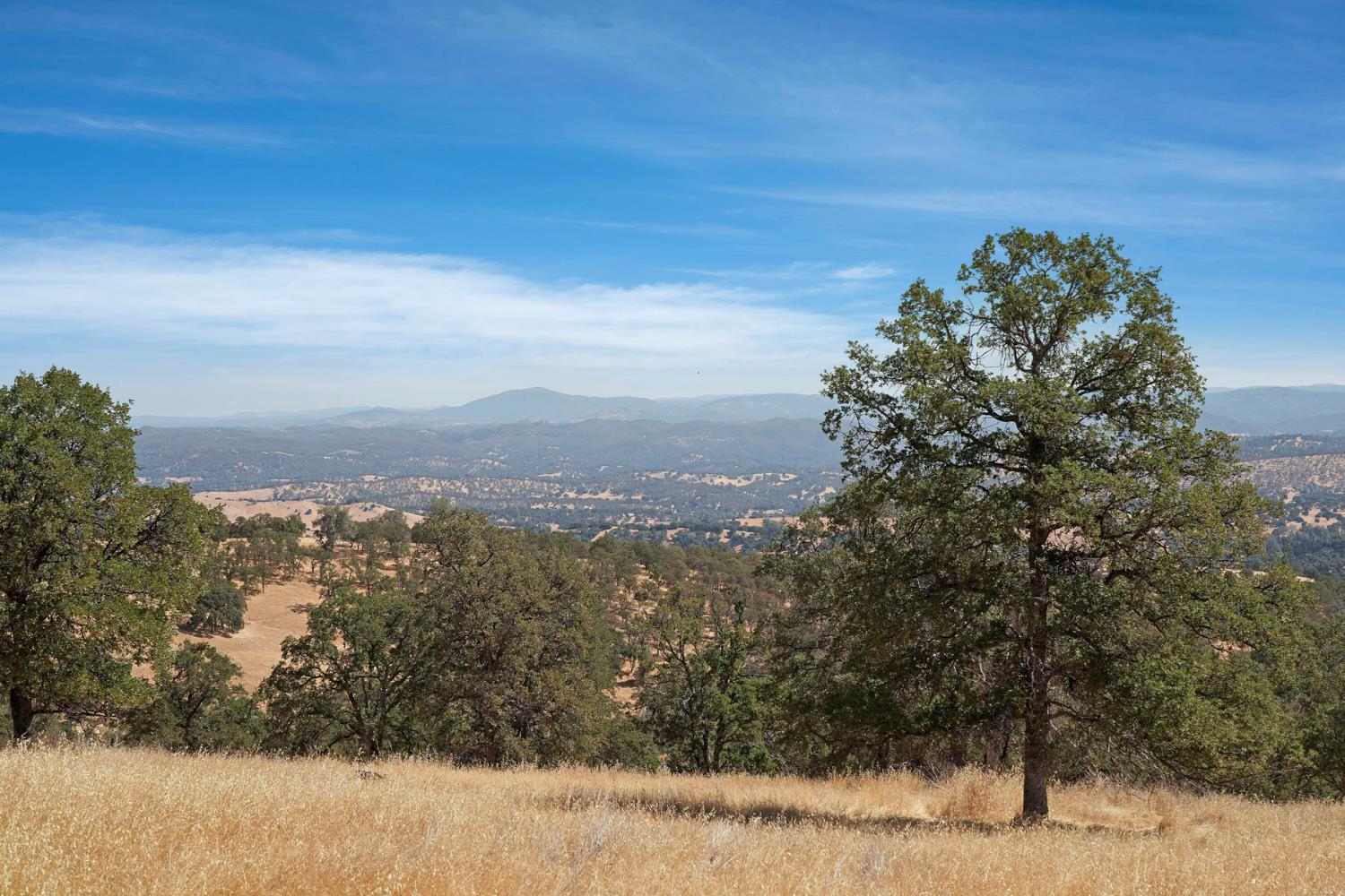 7425 Cincha Street Angels Camp, CA 95222 - Photo 22 of 29 a view of a yard with a mountain