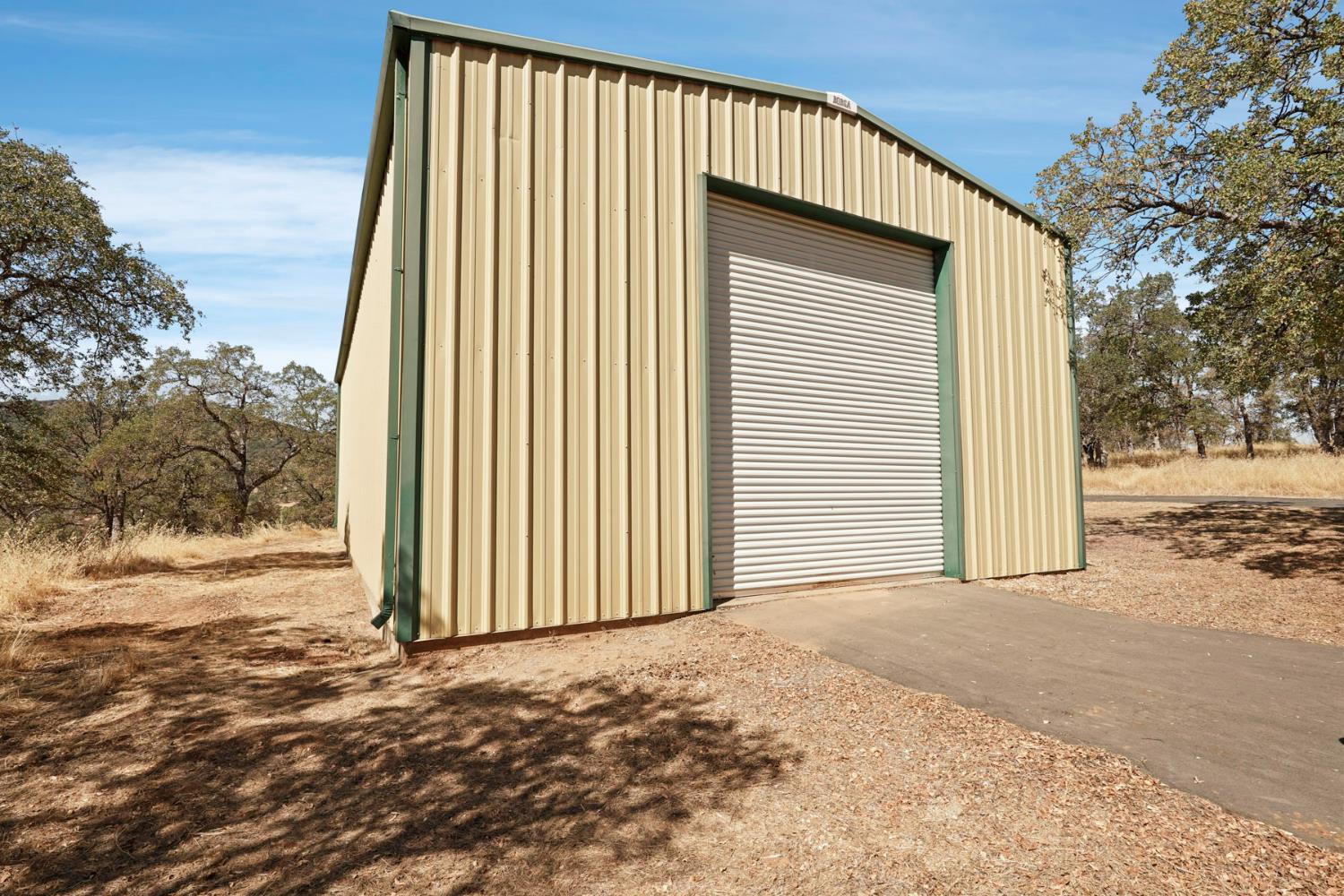 7425 Cincha Street Angels Camp, CA 95222 - Photo 4 of 29 a view of a house with backyard space and trees